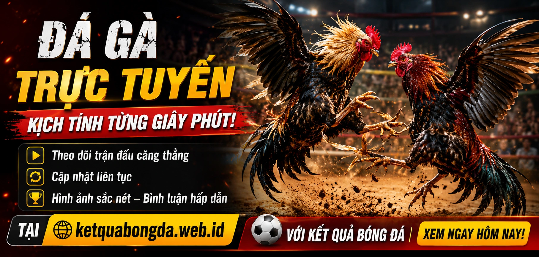 Đá gà trực tuyến tại ketquabongda.web.id