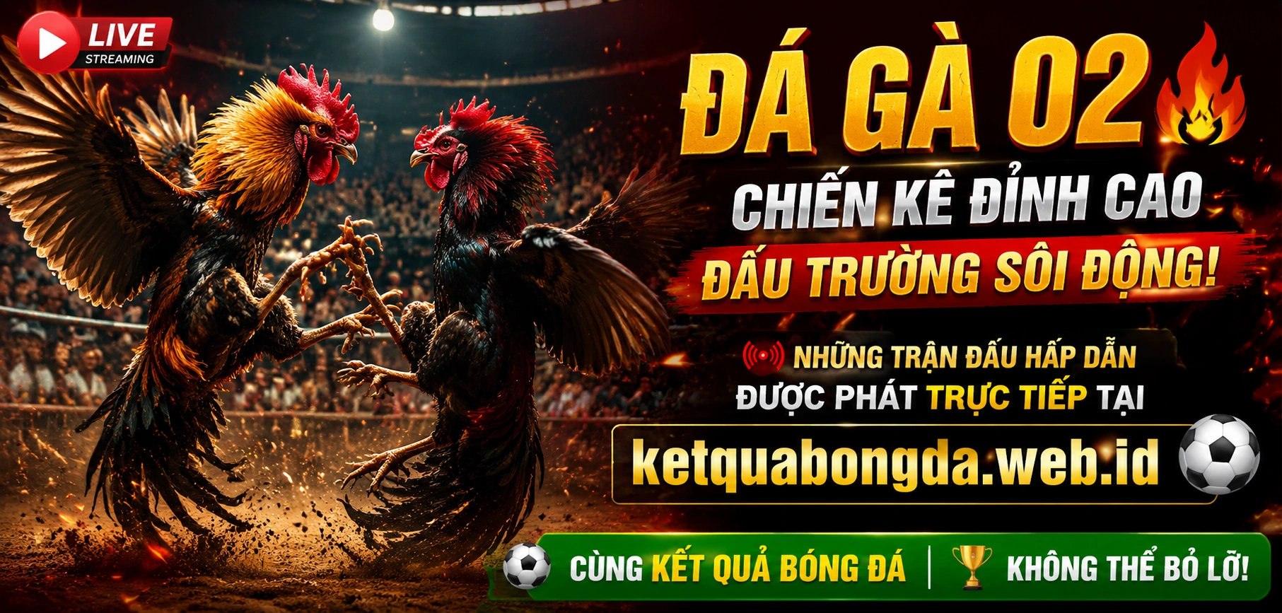 Xem đá gà online Full HD