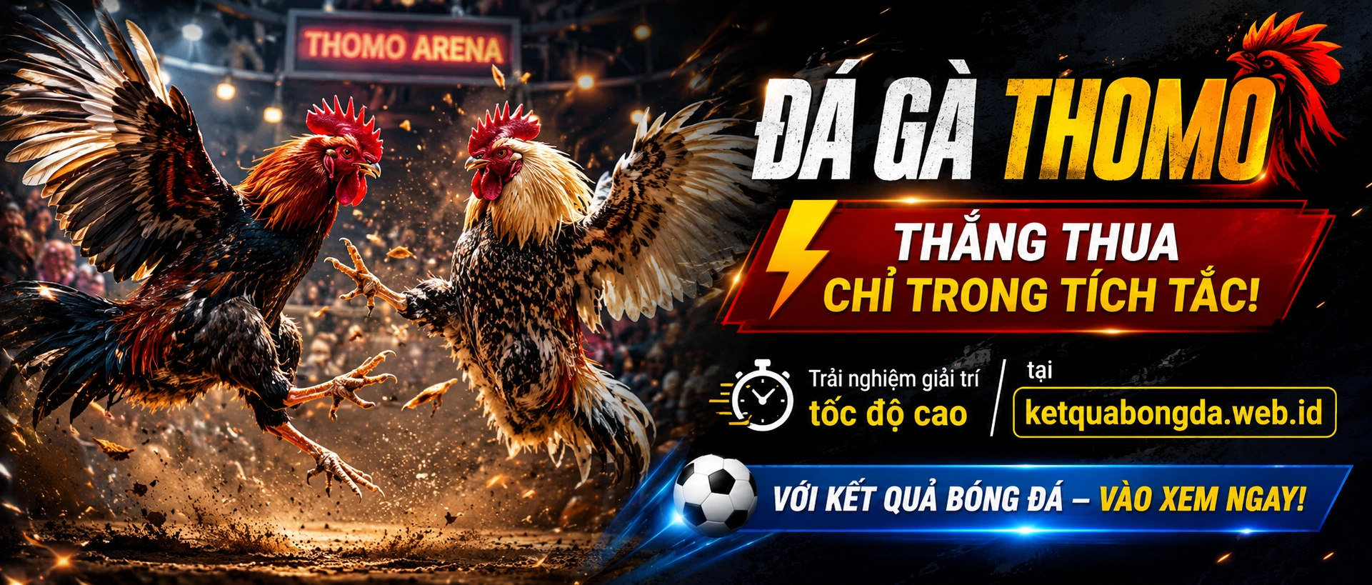 Đá gà Campuchia và kèo trực tuyến